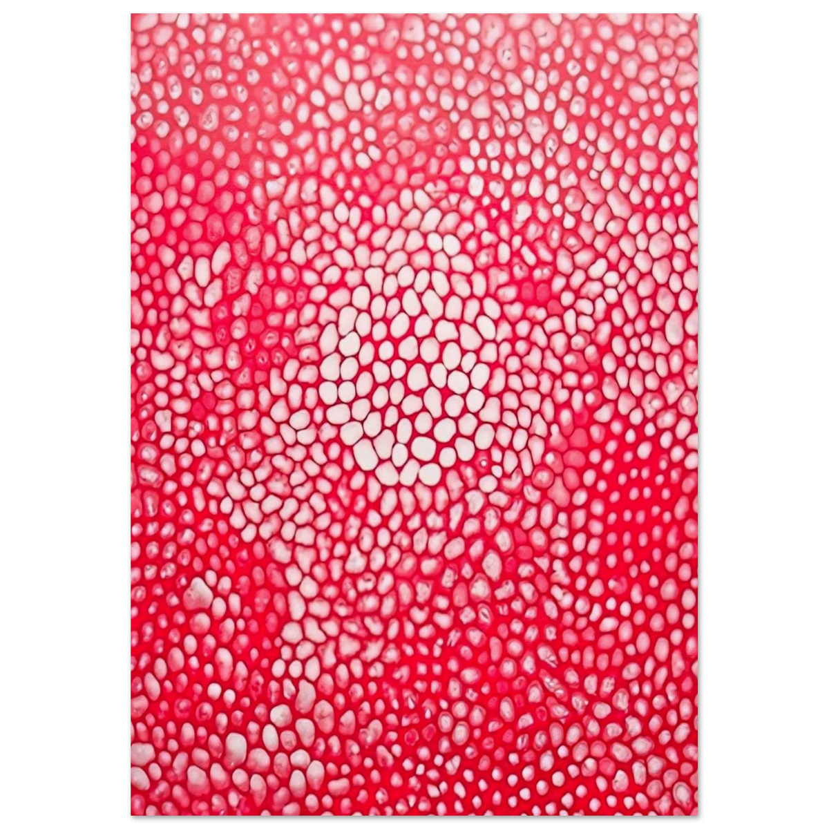 SUNLIGHT 1998 Poster | Yayoi Kusama Poster | Yayoi Kusama Prints