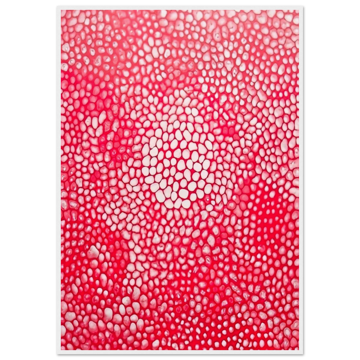 SUNLIGHT 1998 Framed Poster | Yayoi Kusama Framed Prints Wall Art | Yayoi Kusama Prints