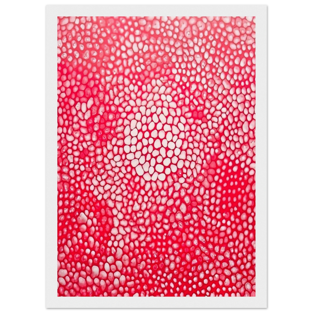 SUNLIGHT 1998 Framed Poster | Yayoi Kusama Framed Prints Wall Art | Yayoi Kusama Prints
