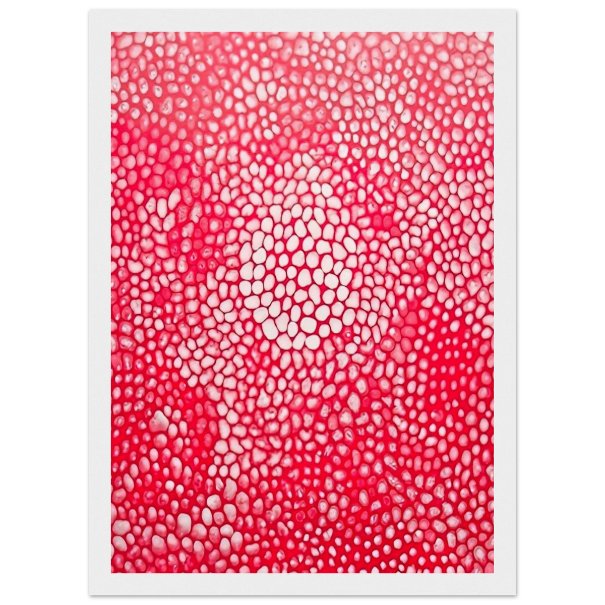 SUNLIGHT 1998 Framed Poster | Yayoi Kusama Framed Prints Wall Art | Yayoi Kusama Prints