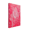 SUNLIGHT 1998 Canvas | Yayoi Kusama Canvas | Yayoi Kusama Prints
