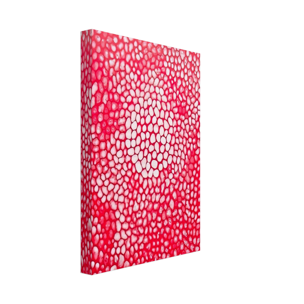 SUNLIGHT 1998 Canvas | Yayoi Kusama Canvas | Yayoi Kusama Prints