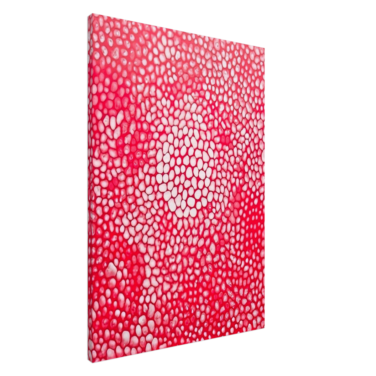 SUNLIGHT 1998 Canvas | Yayoi Kusama Canvas | Yayoi Kusama Prints