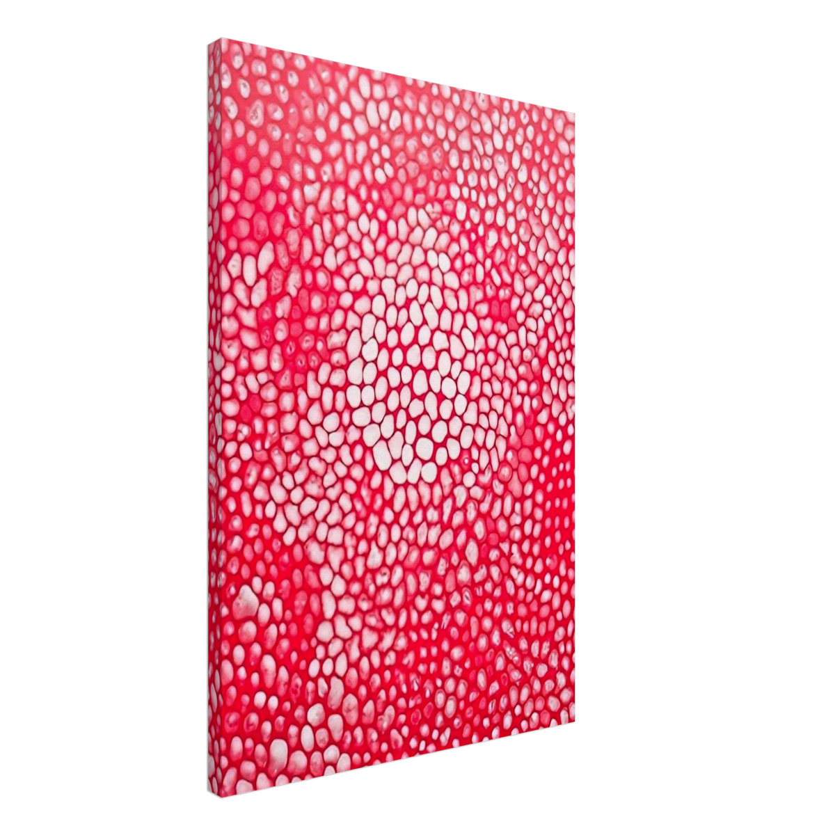 SUNLIGHT 1998 Canvas | Yayoi Kusama Canvas | Yayoi Kusama Prints