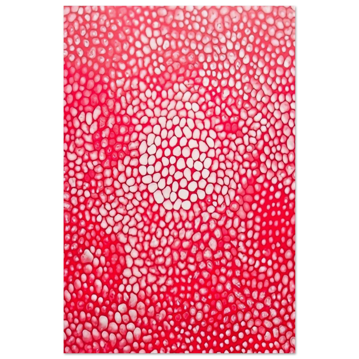 SUNLIGHT 1998 Poster | Yayoi Kusama Poster | Yayoi Kusama Prints