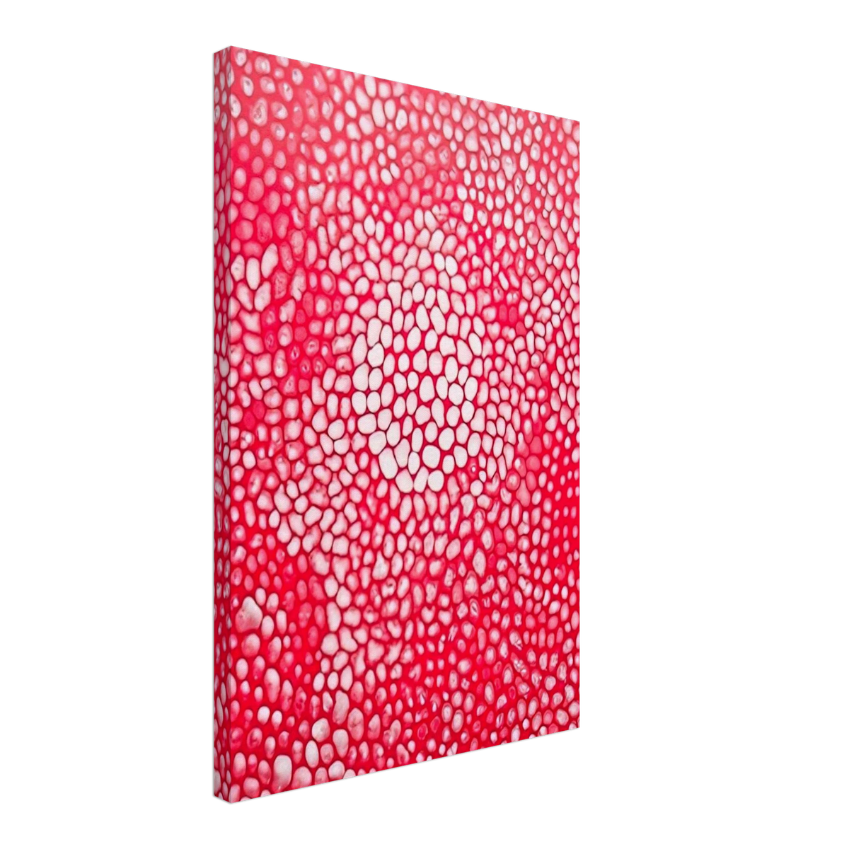 SUNLIGHT 1998 Canvas | Yayoi Kusama Canvas | Yayoi Kusama Prints