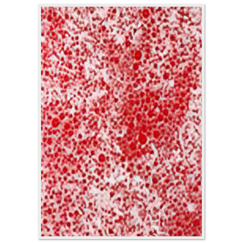 BEYOND THE END OF THE CENTURY 1987 Framed Poster | Yayoi Kusama Framed Prints Wall Art | Yayoi Kusama Prints