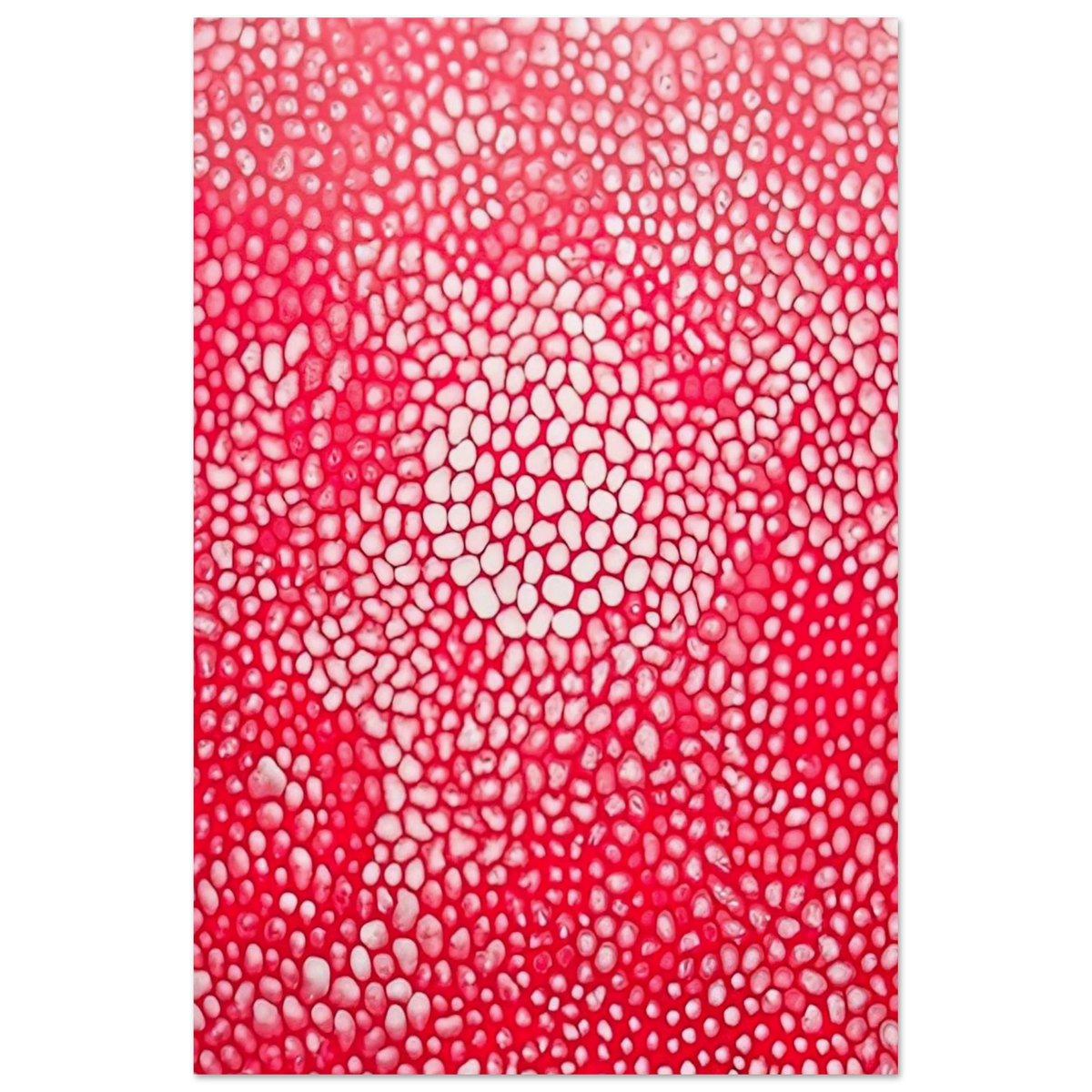 SUNLIGHT 1998 Poster | Yayoi Kusama Poster | Yayoi Kusama Prints