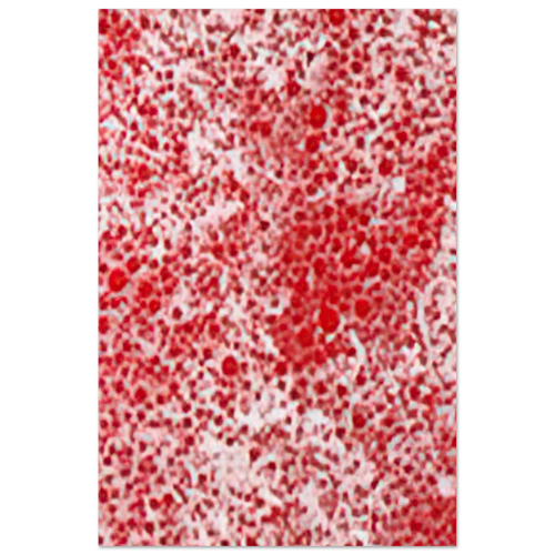 BEYOND THE END OF THE CENTURY 1987 Poster | Yayoi Kusama Poster | Yayoi Kusama Prints