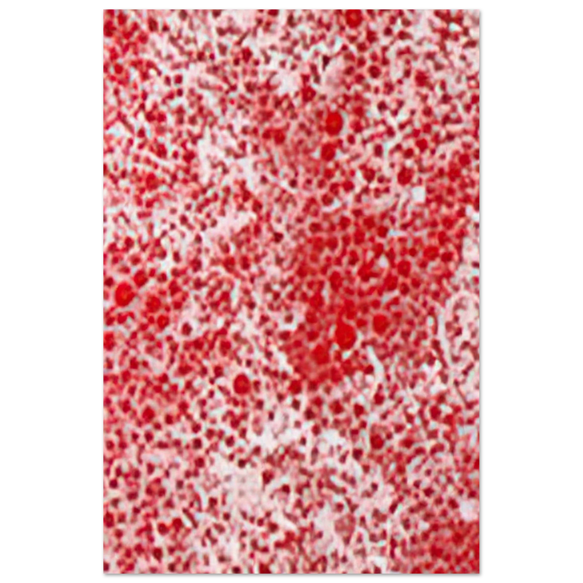 BEYOND THE END OF THE CENTURY 1987 Poster | Yayoi Kusama Poster | Yayoi Kusama Prints