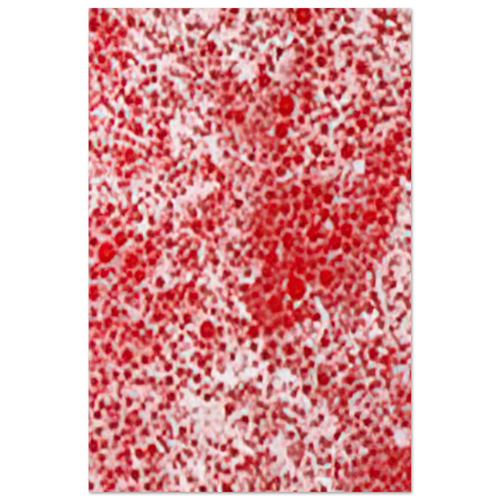 BEYOND THE END OF THE CENTURY 1987 Poster | Yayoi Kusama Poster | Yayoi Kusama Prints
